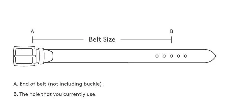 Brown Western Cowboy Leather Belt Embroidered - Rodeo Buckle