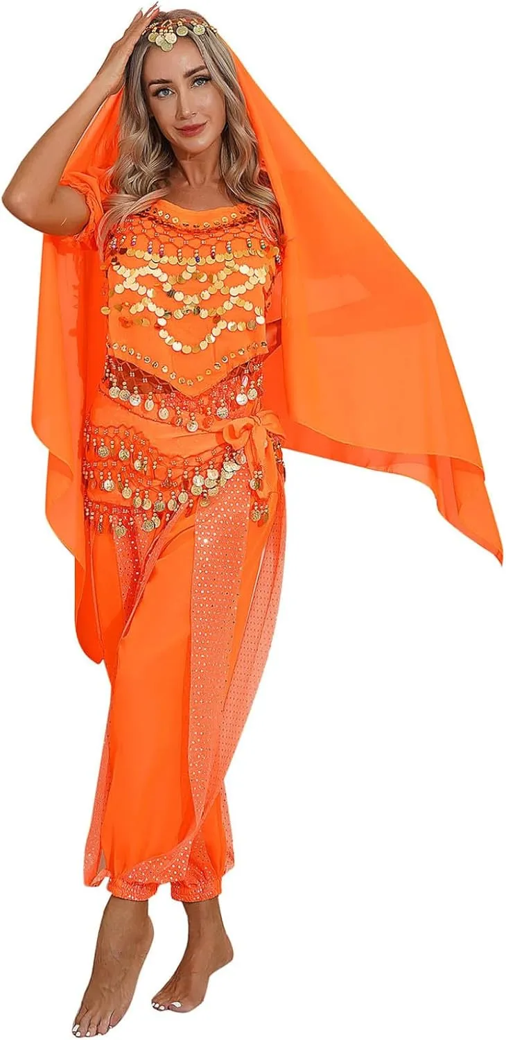 Women's India Belly Dance Costume Top with Harem Pants Hip Scarf Halloween Costume
