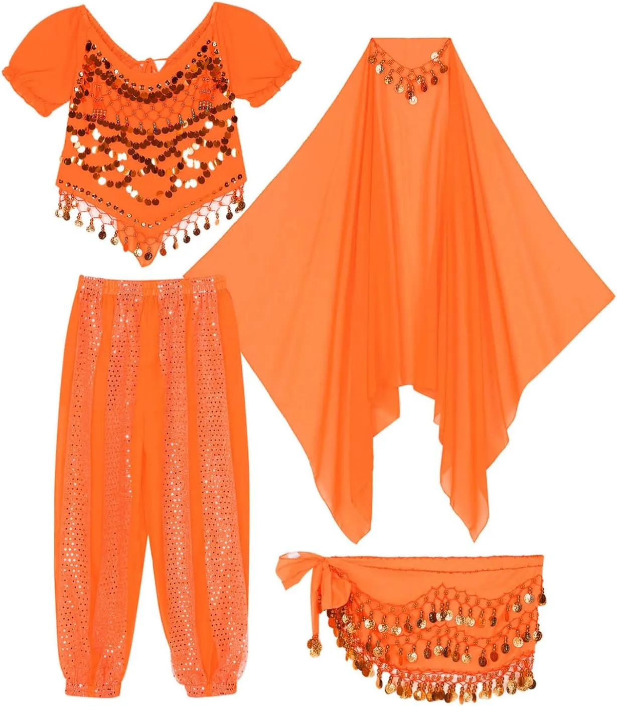 Women's India Belly Dance Costume Top with Harem Pants Hip Scarf Halloween Costume